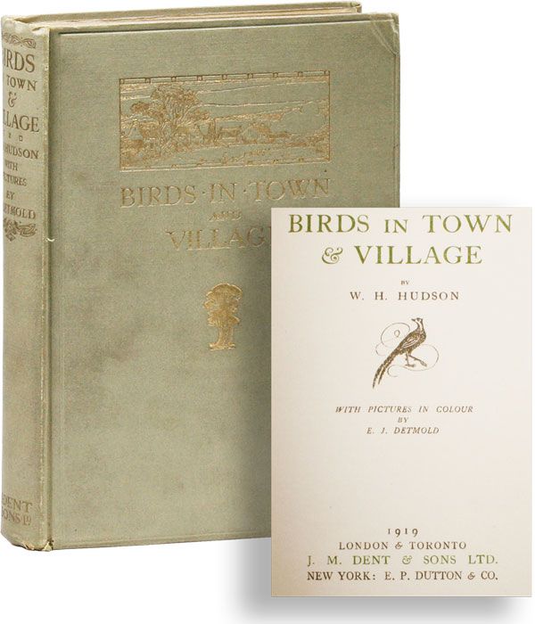 Item #22898] Birds in Town & Village. W. H. HUDSON, E J. Detmold