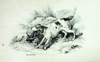 The Dog and the Sportsman. Embracing the Uses, Breeding, Training, Diseases, Etc. Etc. of Dogs, and an Account of the Different Kinds of Game, with Their Habits. Also Hints to Shooters, with Various Useful Recipes, Etc. Etc.