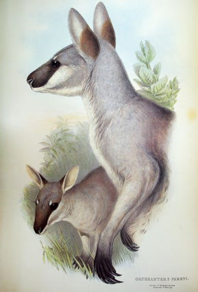 Mammals of Australia [vol. II] [FASCIMILE]
