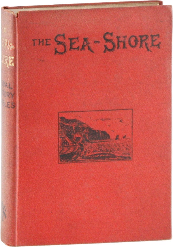 Item #57344] The Sea-Shore. P. Martin DUNCAN