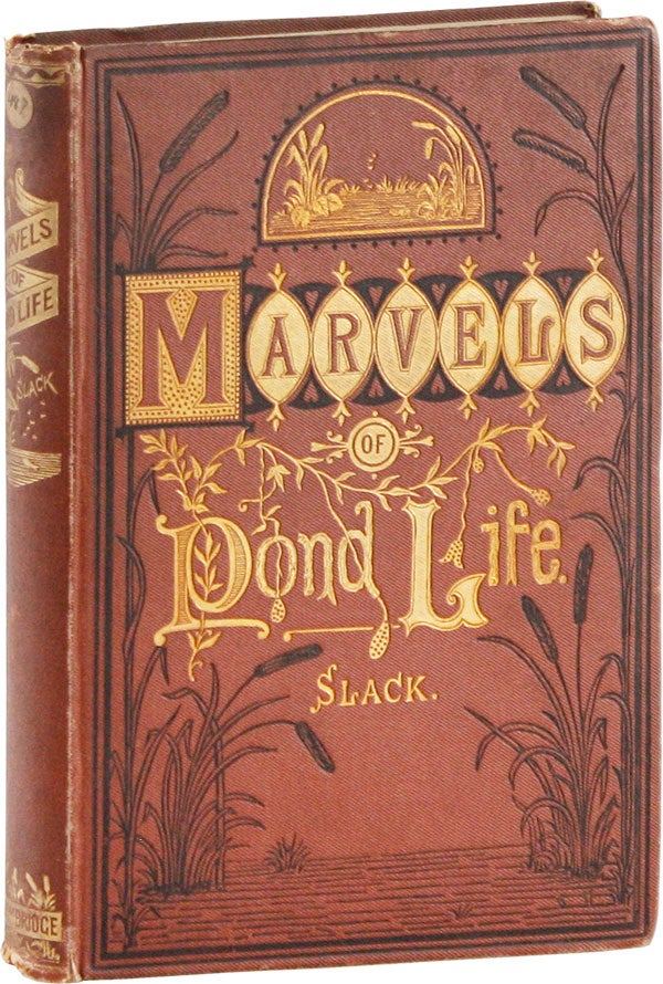 Item #57345] Marvels of Pond-Life or, A Year's Microscopic Recreations Among the Polyps,...