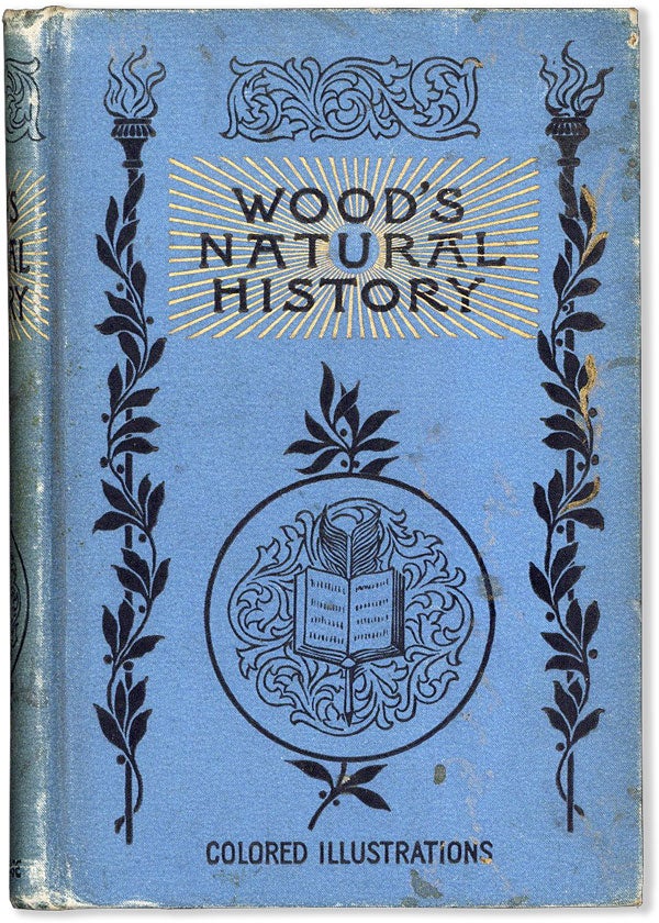 Item #58335] Illustrated Natural History. J. G. WOOD
