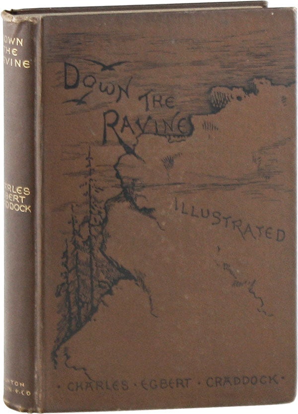 Item #58960] Down the Ravine. SOCIAL FICTION, Charles Egbert CRADDOCK, pseud. Mary Noailles...
