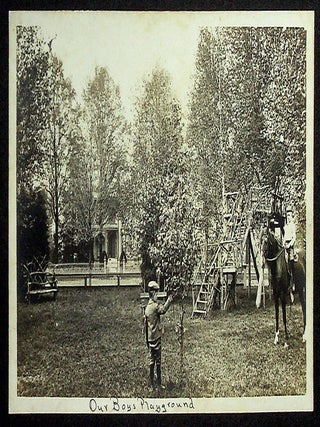 Album of Professional Views of the 1901 Pan-American Exposition