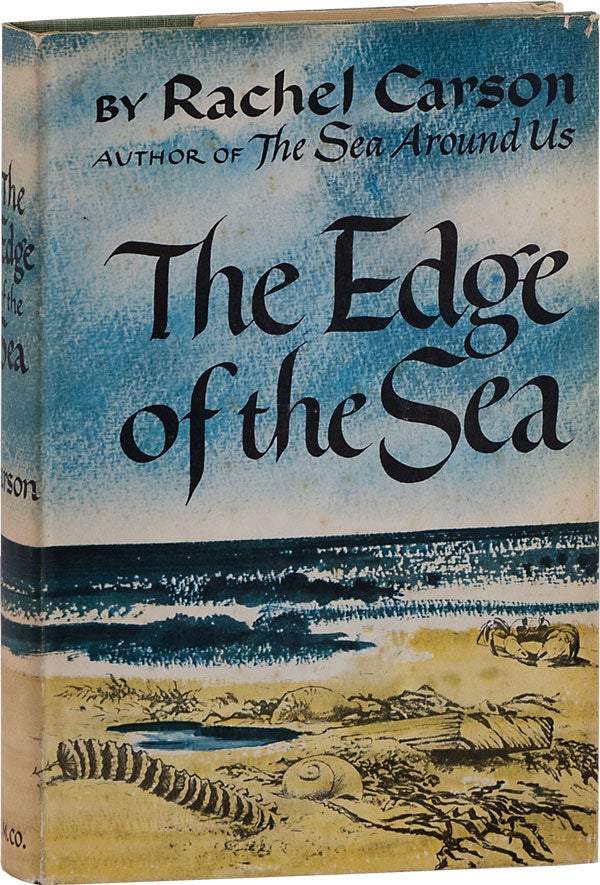 Item #62876] The Edge of the Sea. Rachel CARSON