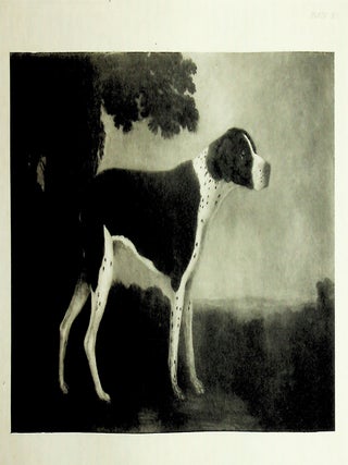 The Pointer and His Predecessors: An Illustrated History of the Pointing Dog from the Earliest Times