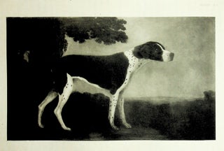 The Pointer and His Predecessors: An Illustrated History of the Pointing Dog from the Earliest Times