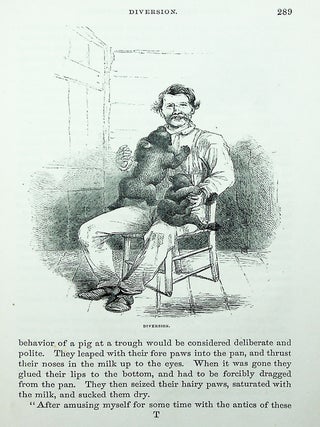 Virginia Illustrated: Containing a Visit to the Virginian Canaan, and the Adventures of Porte Crayon and His Cousins