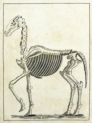 The Pocket Farrier; Or, Gentleman's Guide in The Management of Horses Under various Diseases. With an explanation of the Symptoms attending the different Disorders, and the shortest, plainest and most humane methods of curing them. Directions for Judging of the Horse's Age, and Useful Observations on the Breeding, Raising and Training of Colts. Hinges to Purchasers, and general directions for using a Horse on a journey, with useful rules for riding with safety, gracefulness & c. And directions to perform the necessary Surgical Operations. Receipt for Gelding, on a new and improved plan: and for securing horses from the dangers arising from Bots, Truncheons & c., To Which is Added, The Horse's Skeleton, Taken from that of the Academy of Sciences at Paris