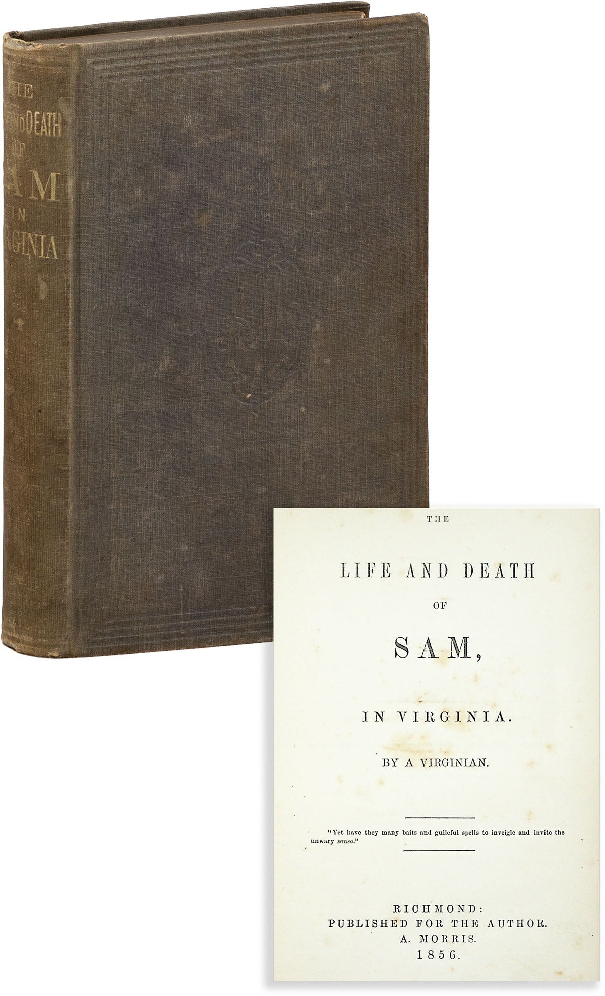 [Item #90358] The Life and Death of Sam in Virginia. By a Virginian. VIRGINIA, "BY A. VIRGINIAN", KNOW-NOTHING PARTY, pseud.